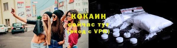 тгк Арсеньев